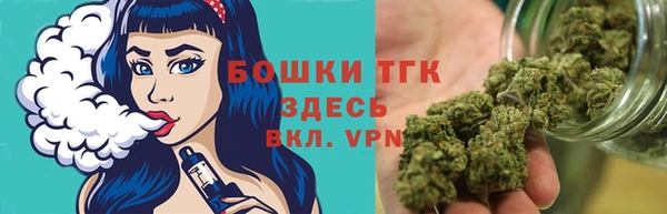 трава Арсеньев