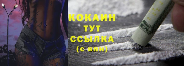 трава Арсеньев