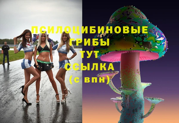 скорость Аркадак