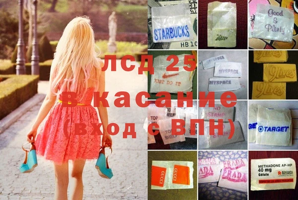 трава Арсеньев